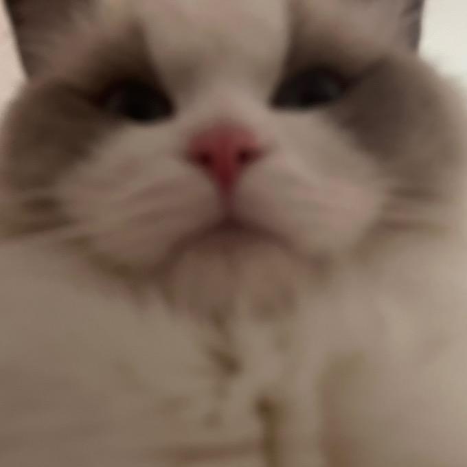 奶宝小朋友（日更版）