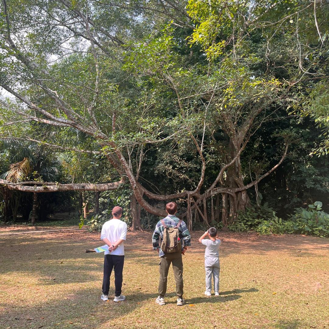 小曹回农村