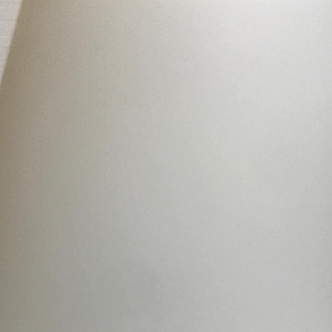9 谷子