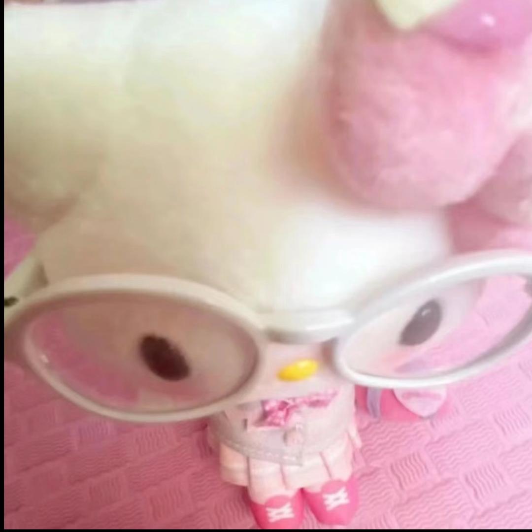 茸茸不急