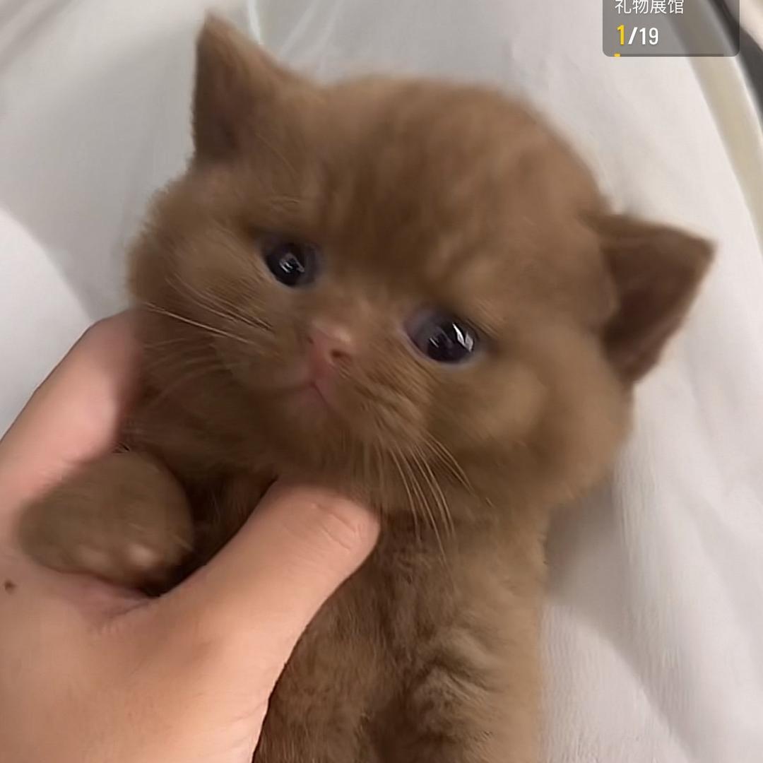 绵绵