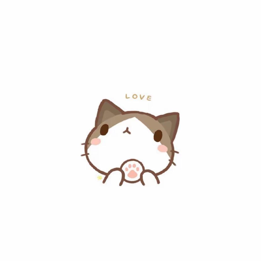 小鱼儿💕