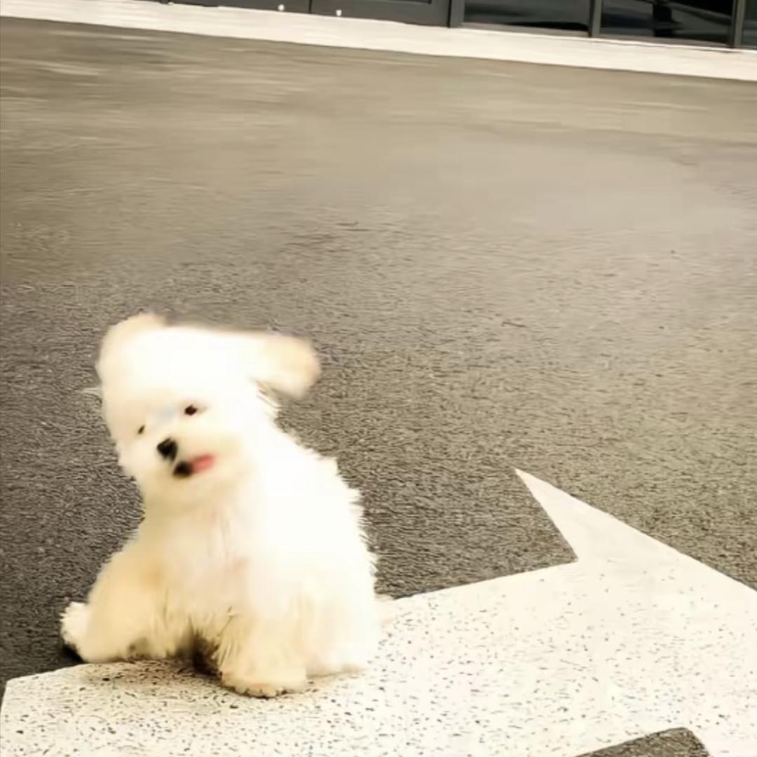 还要多久