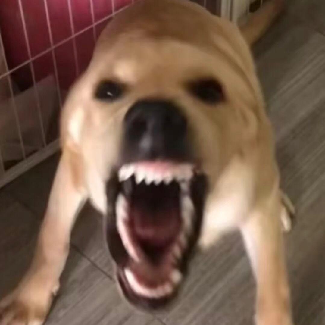 抽象大师