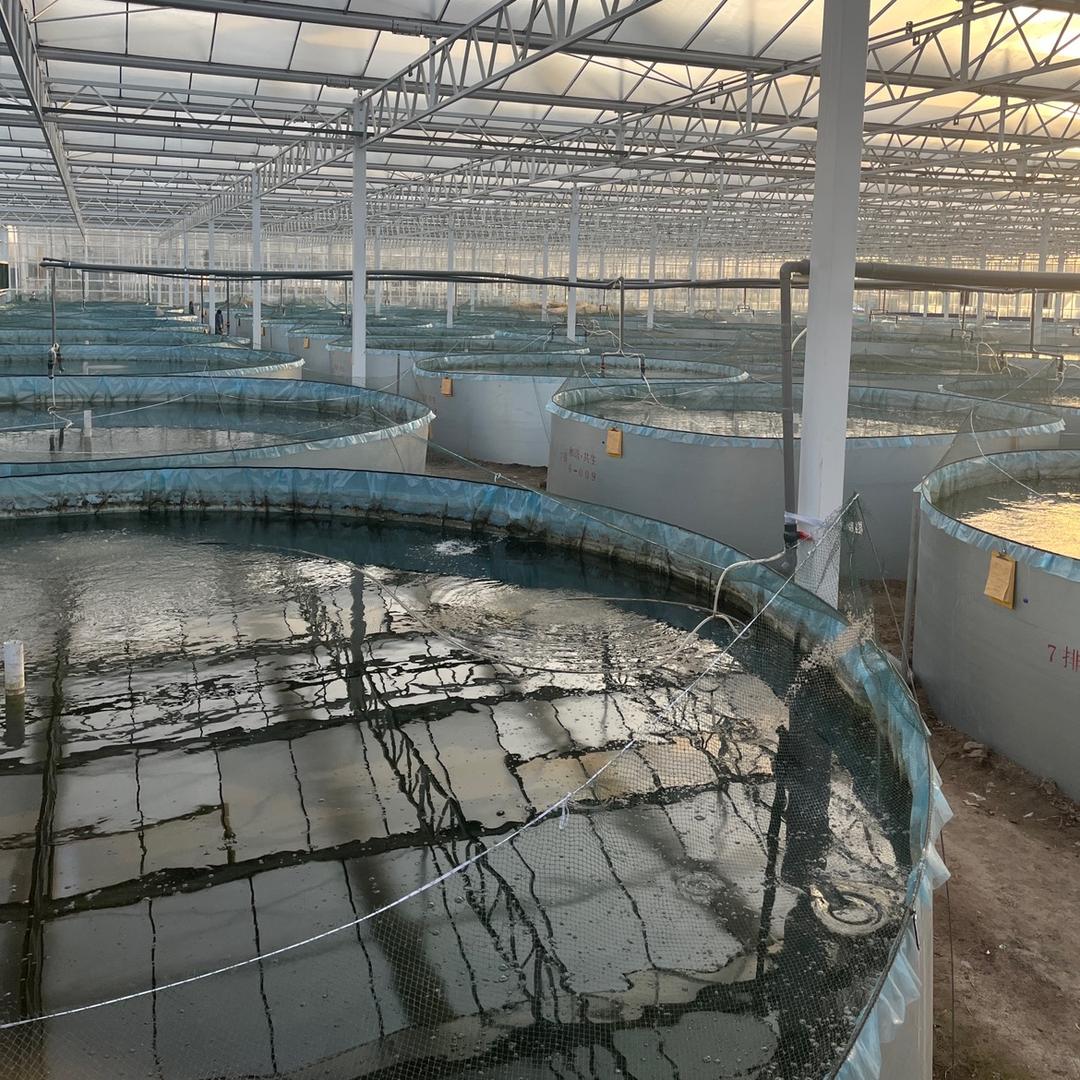 鑫鑫镀锌板养殖基地
