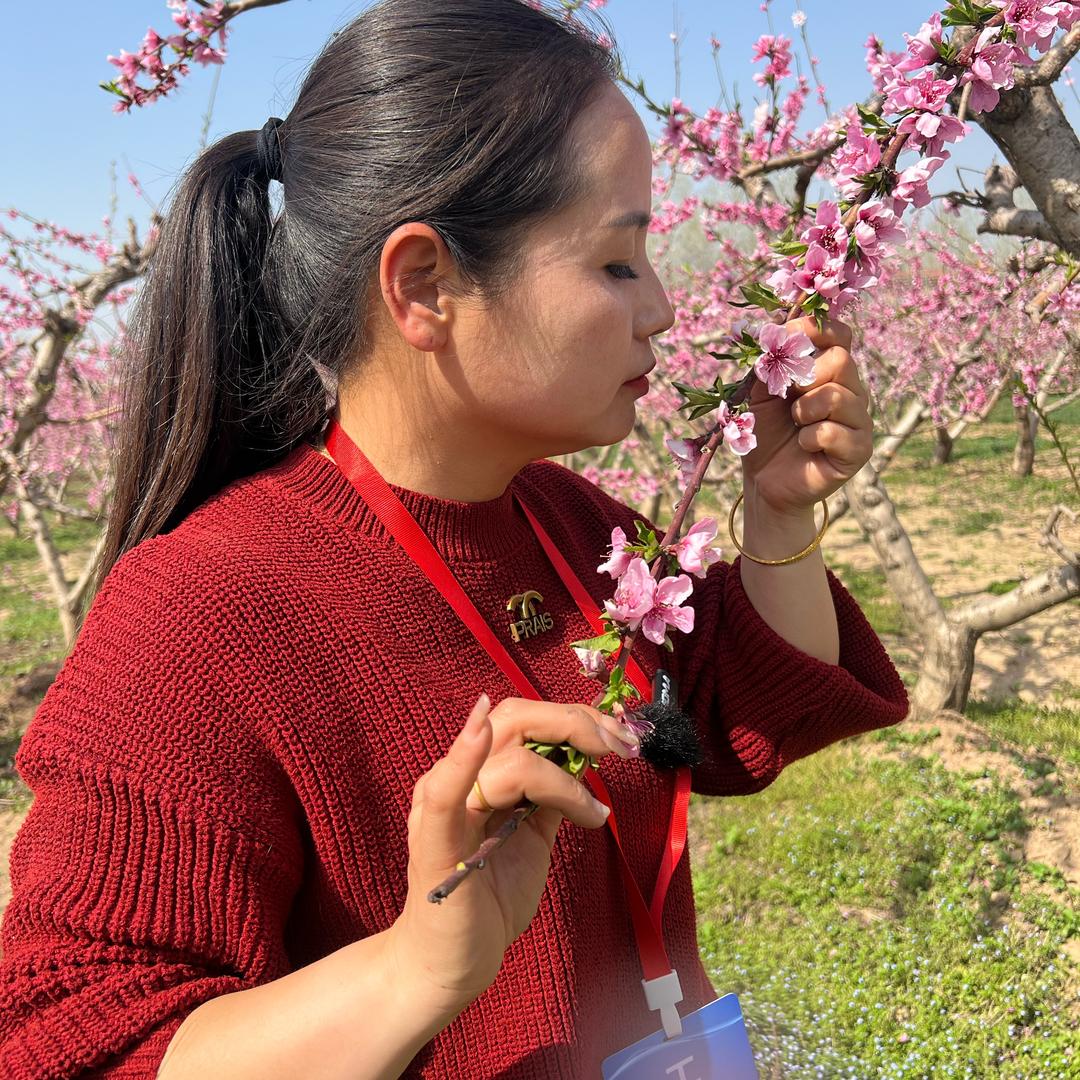 农业植保丽丽(商品在橱窗）