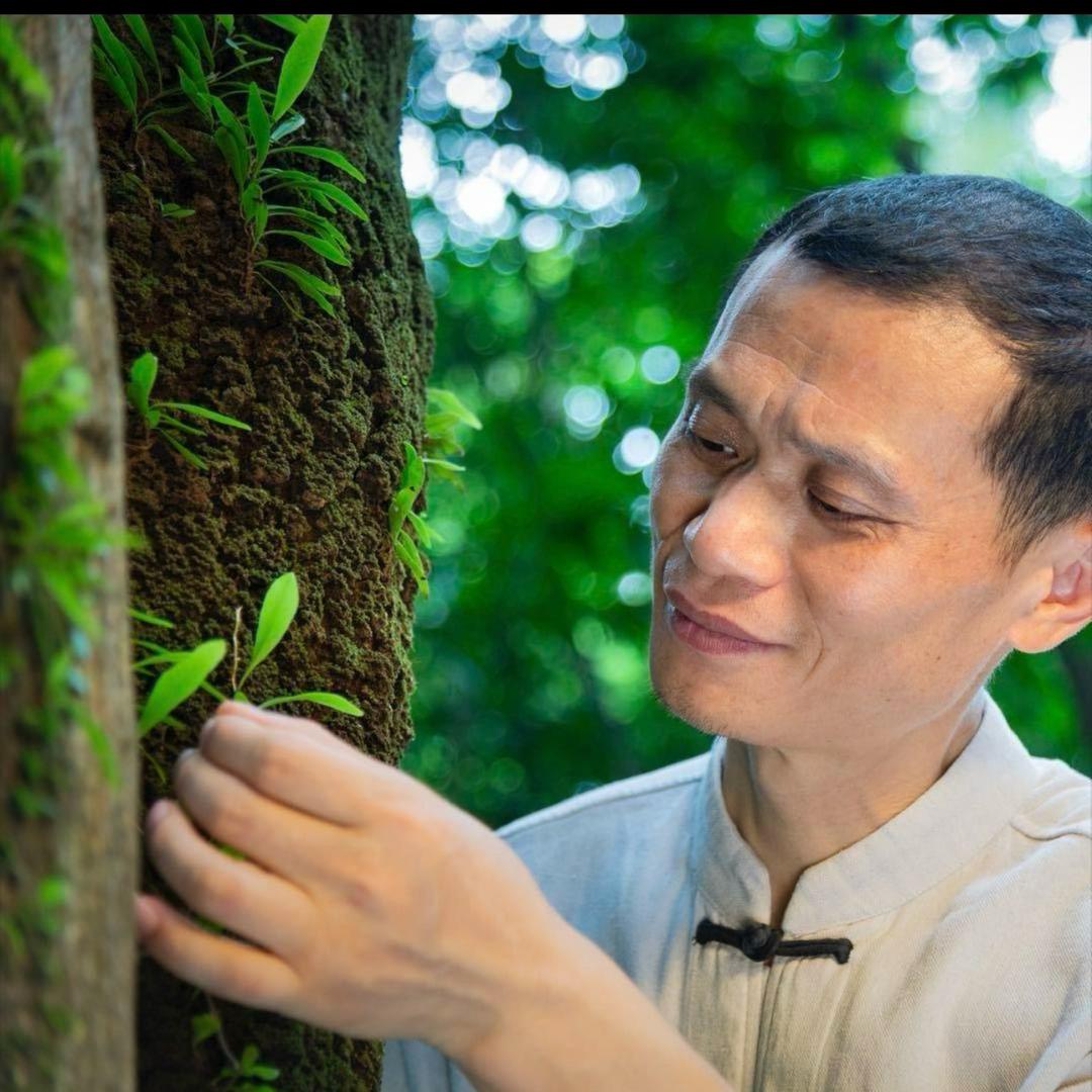 陈农夫中医文明村
