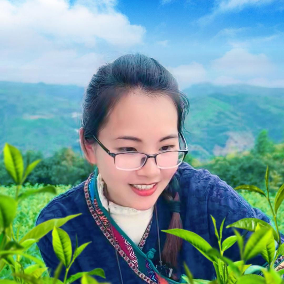 福鼎鹿坑村白茶畲家茶