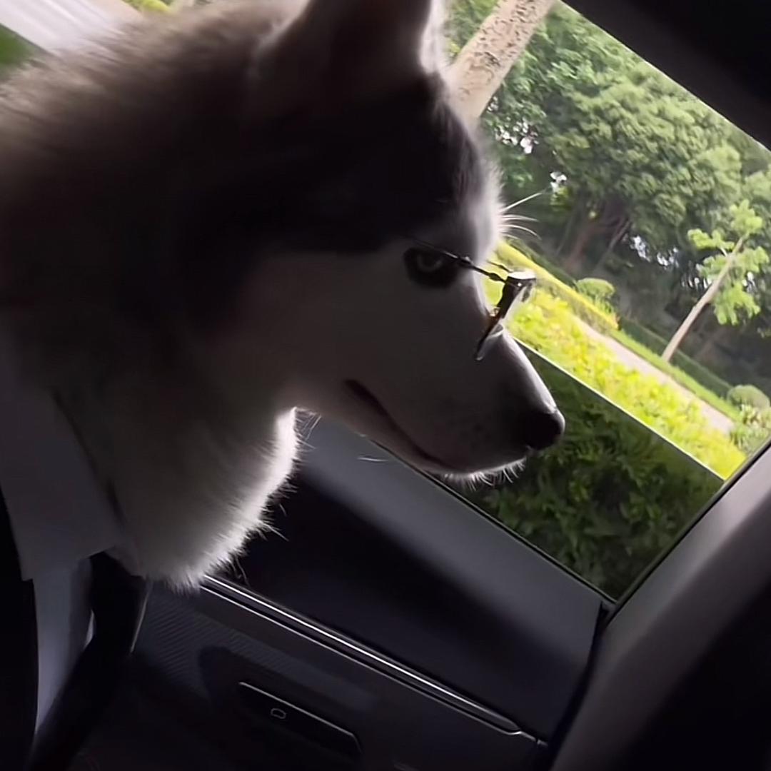 朢樂