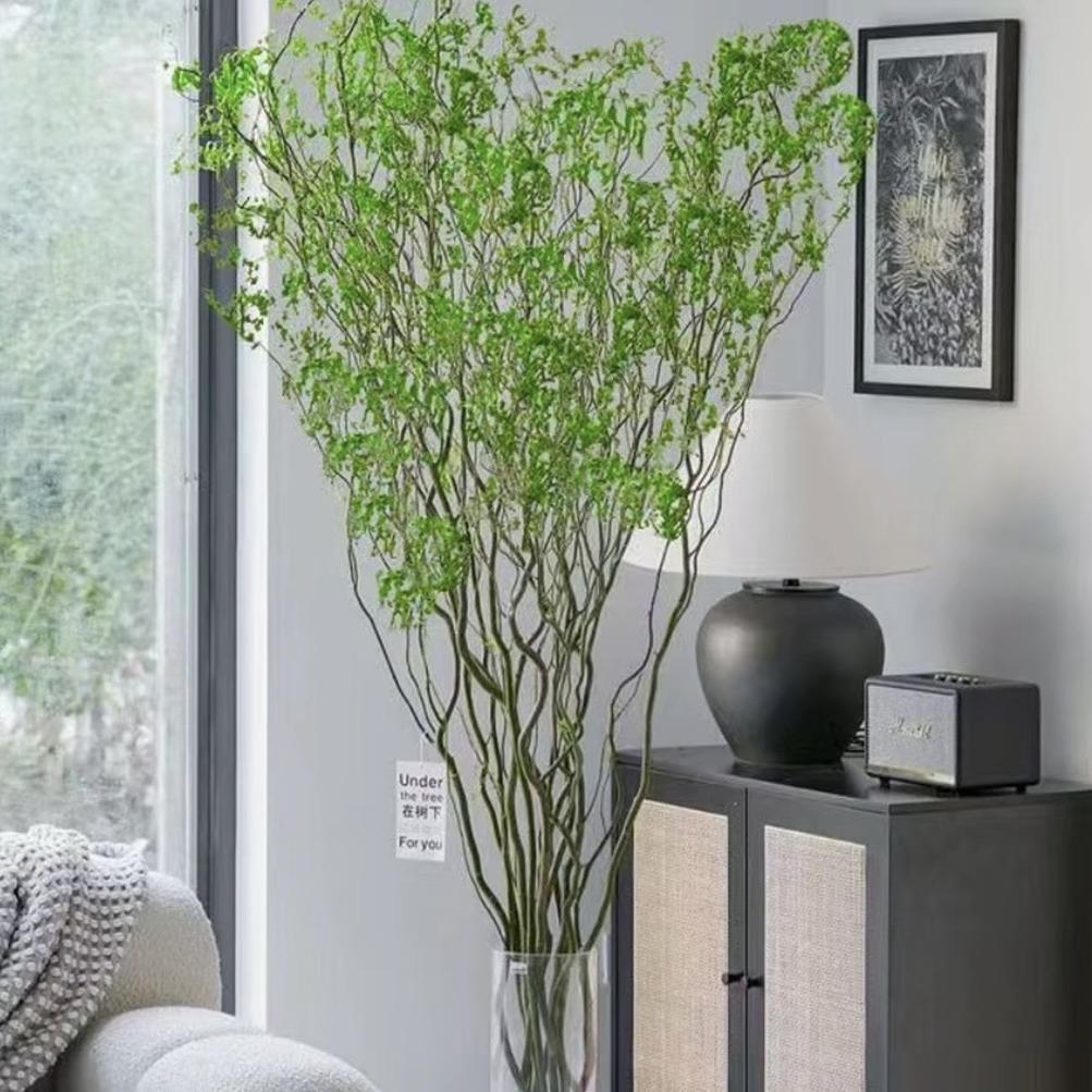 鲜切国风龙柳源头基地