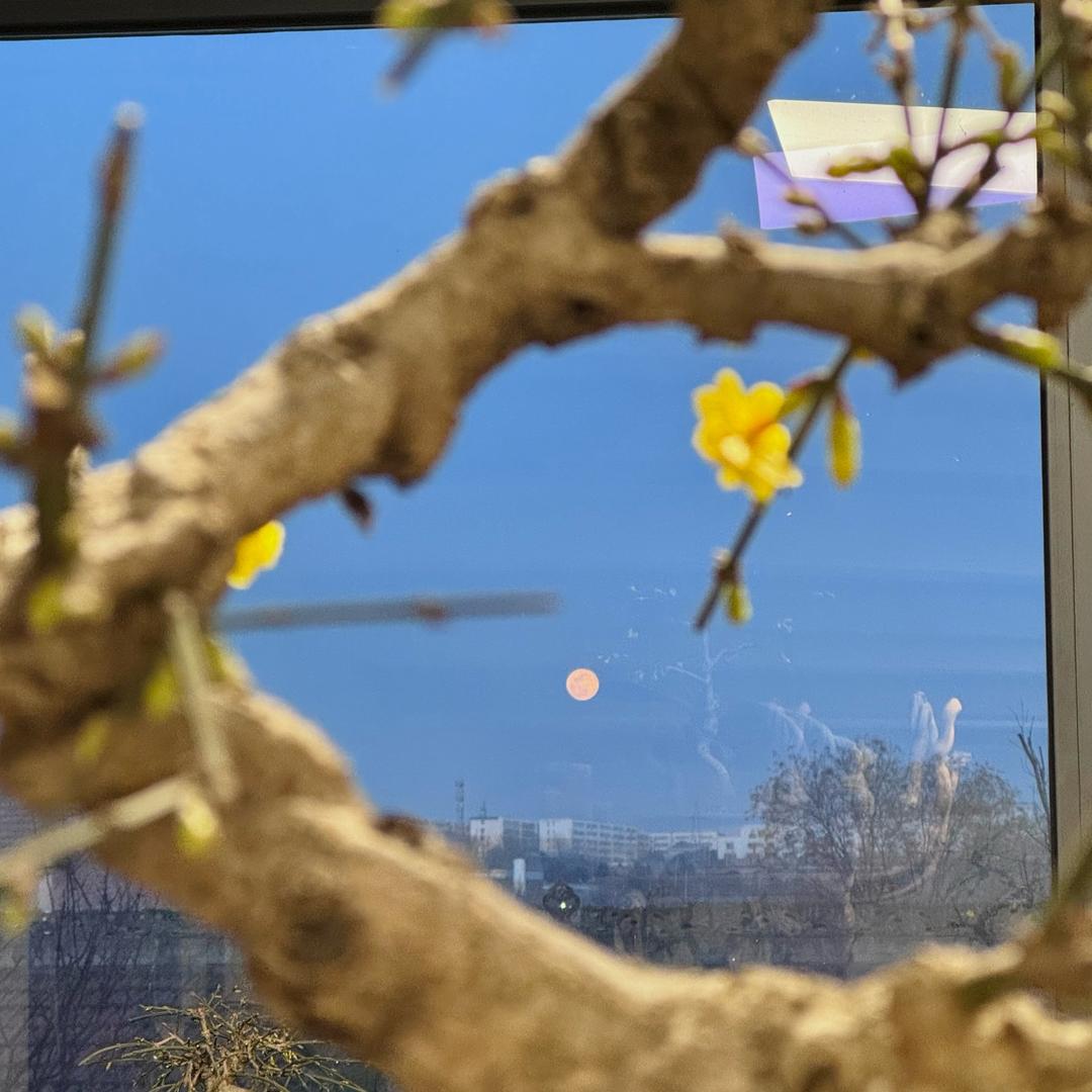 宝鸡装修家电杨姐