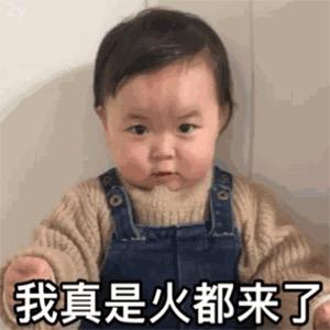 副副得政