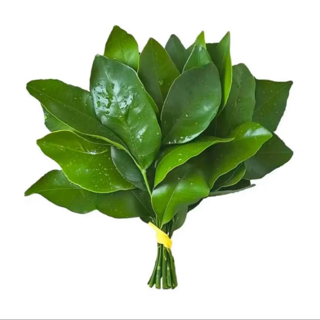 扶老奶奶过马路