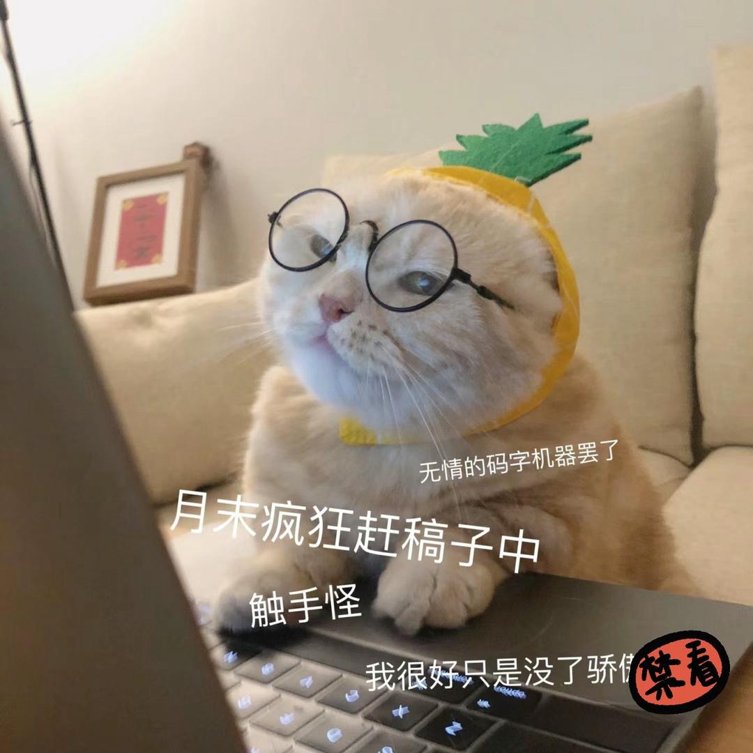 活宝钏