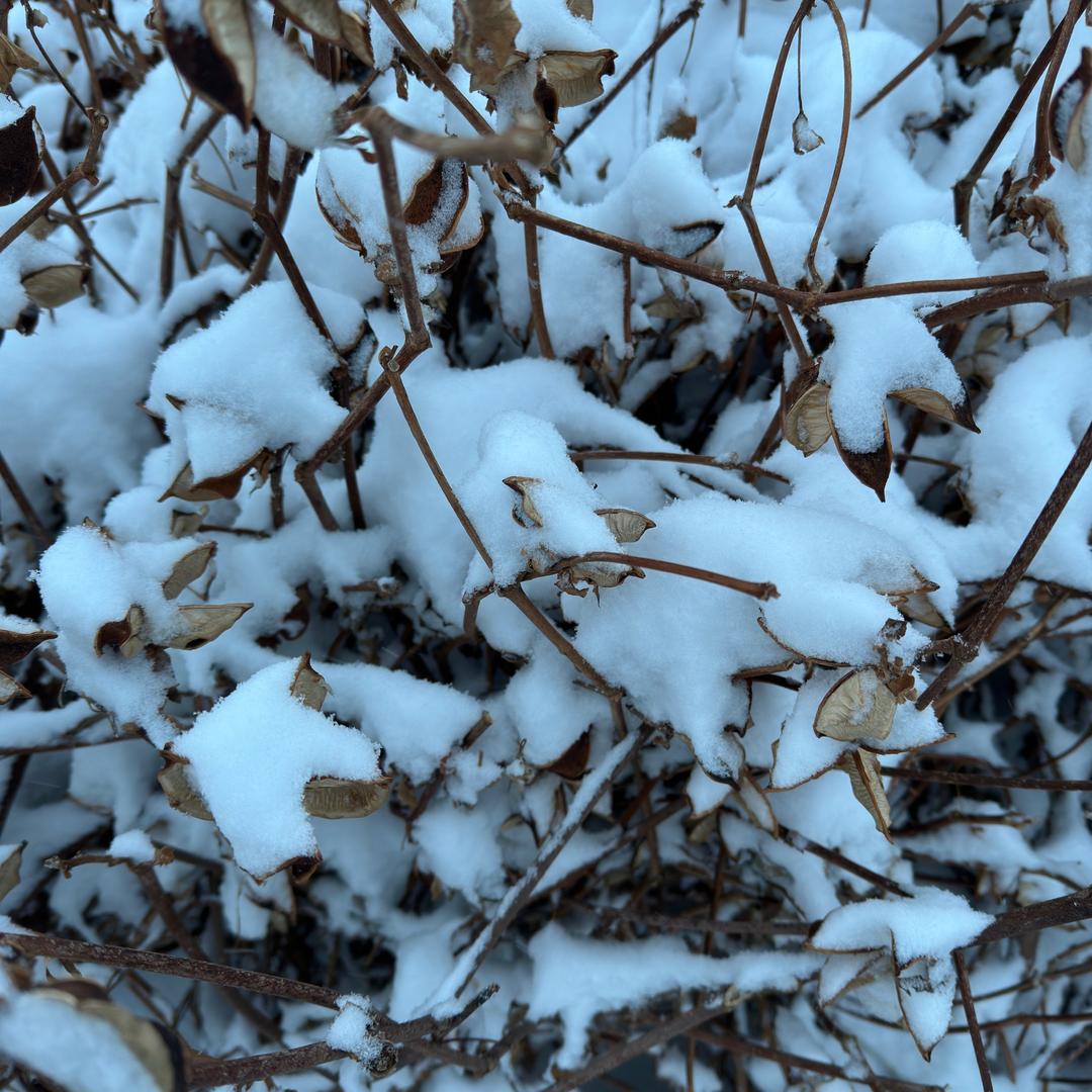 20万的号码挣6万多