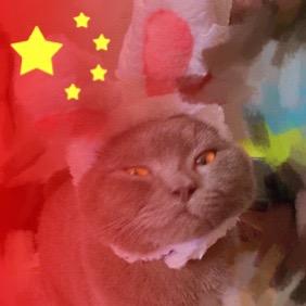 十一喵喵喵