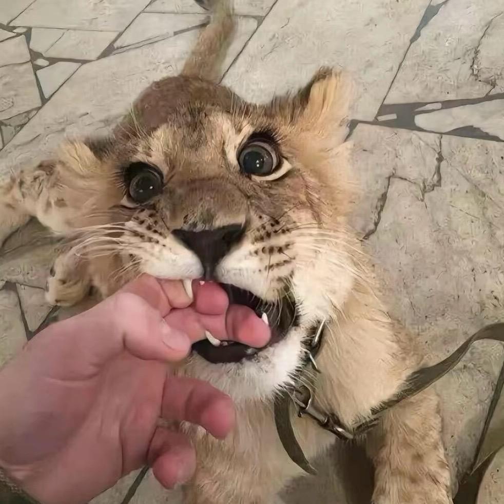 ？！