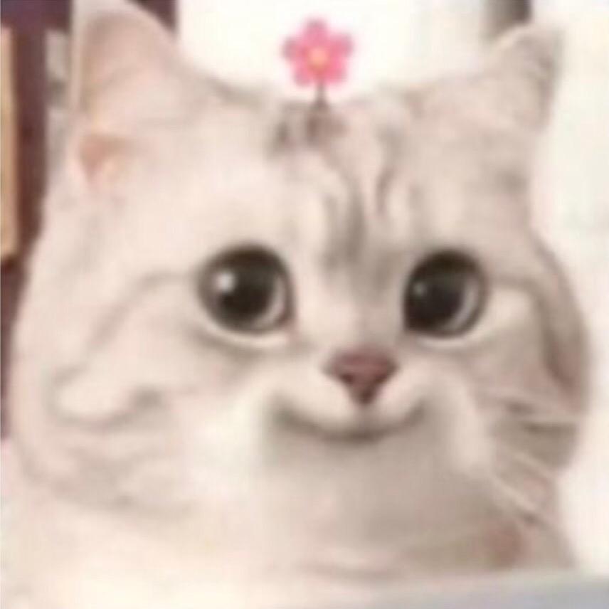 何耿耿