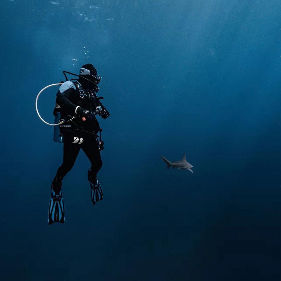 Diver