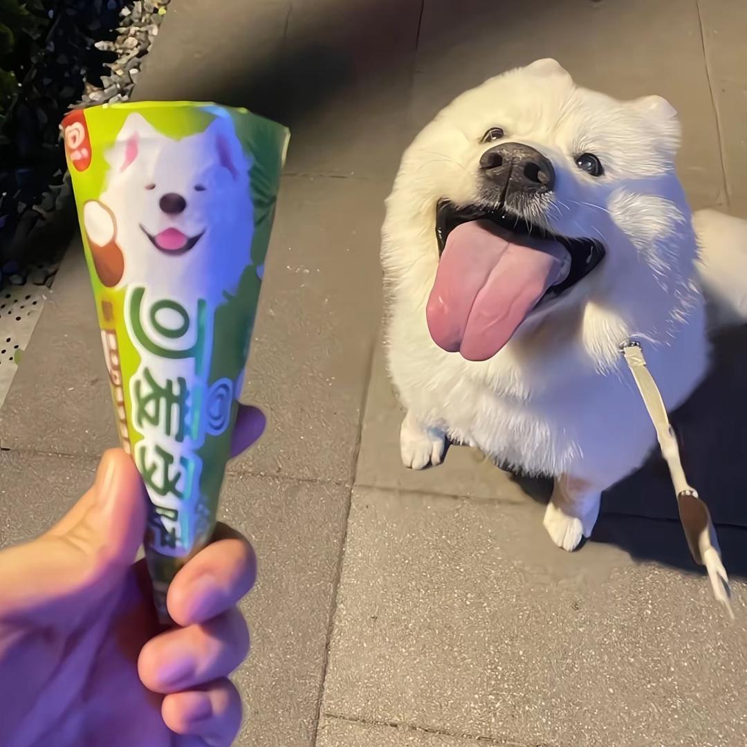 滑水仔.