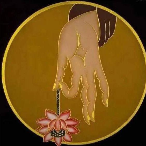 禅诲先生