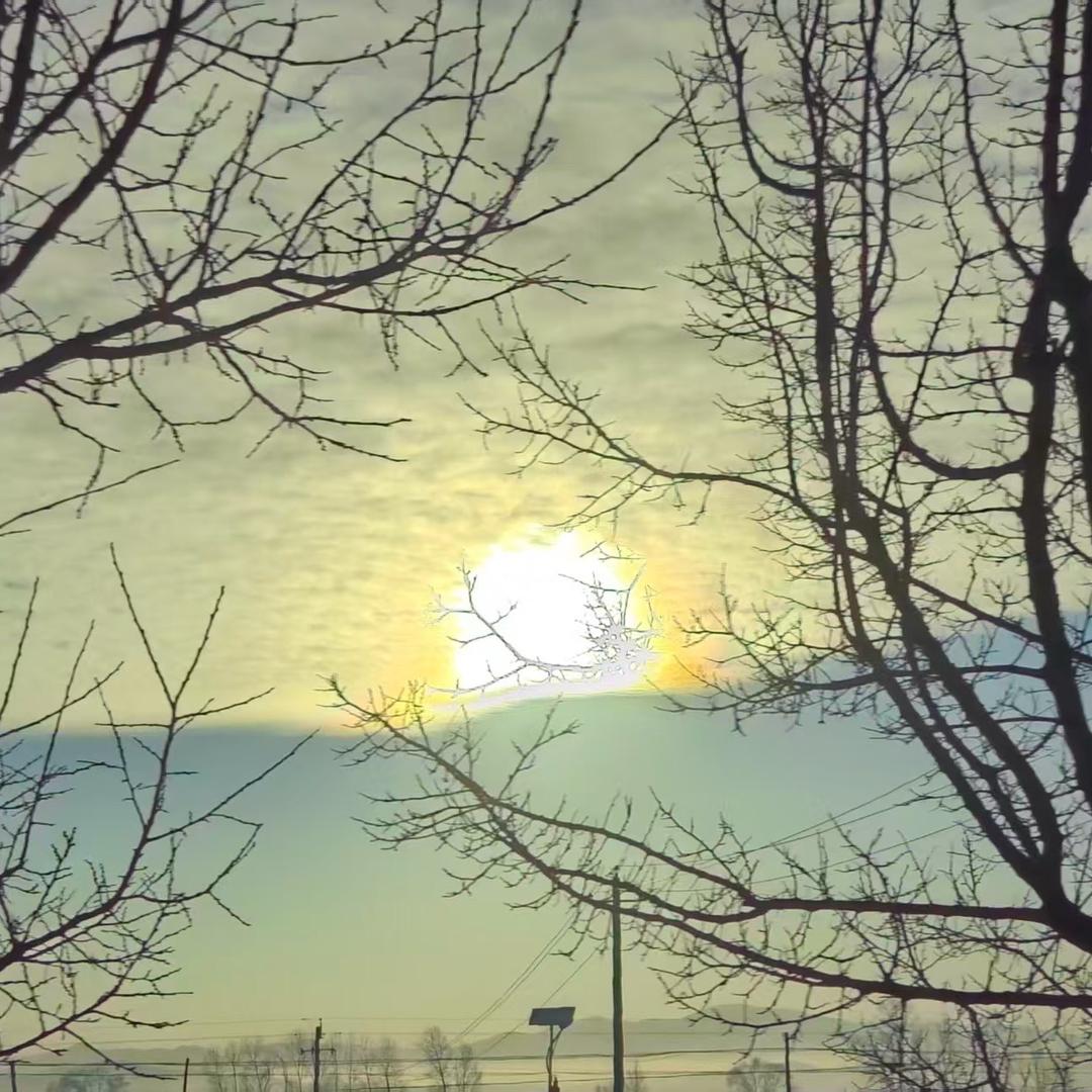 小楠和婆婆日常