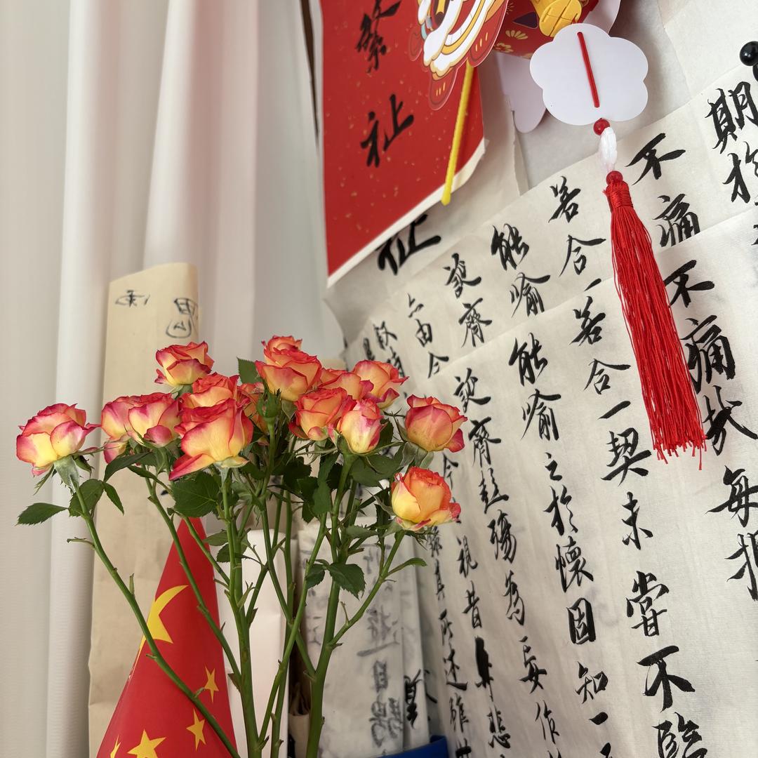 小杨没烦恼