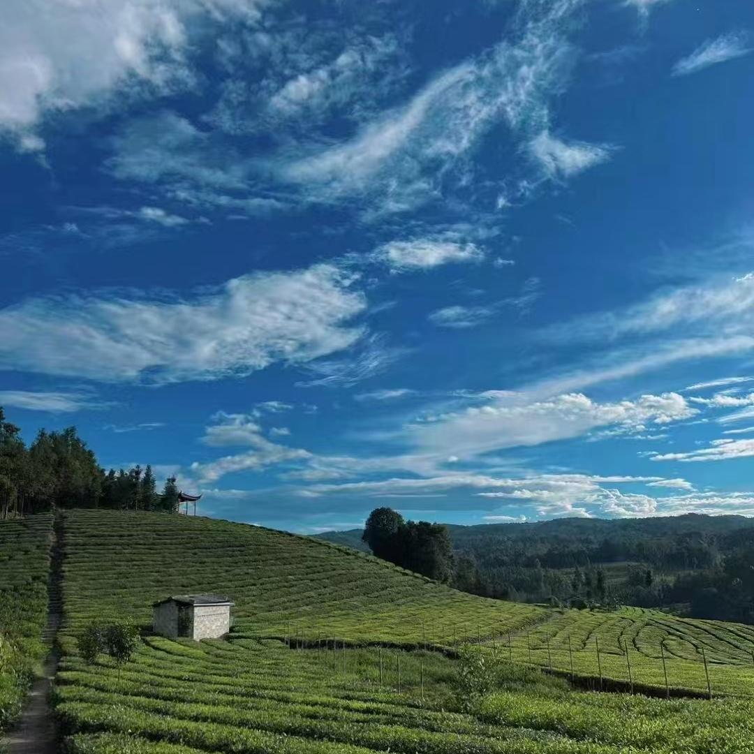 朝云山货小卖铺