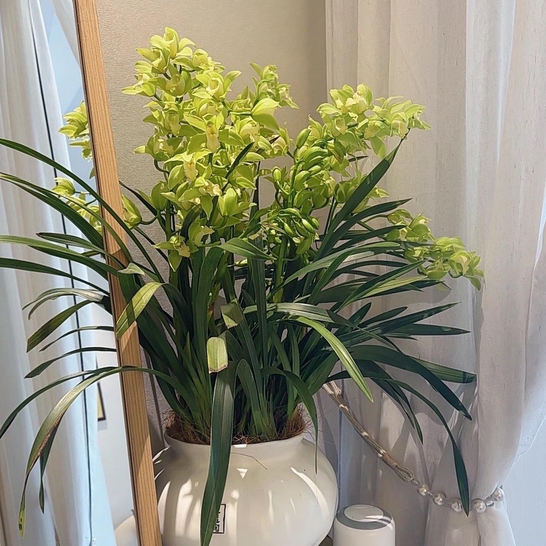 井井养生研究所