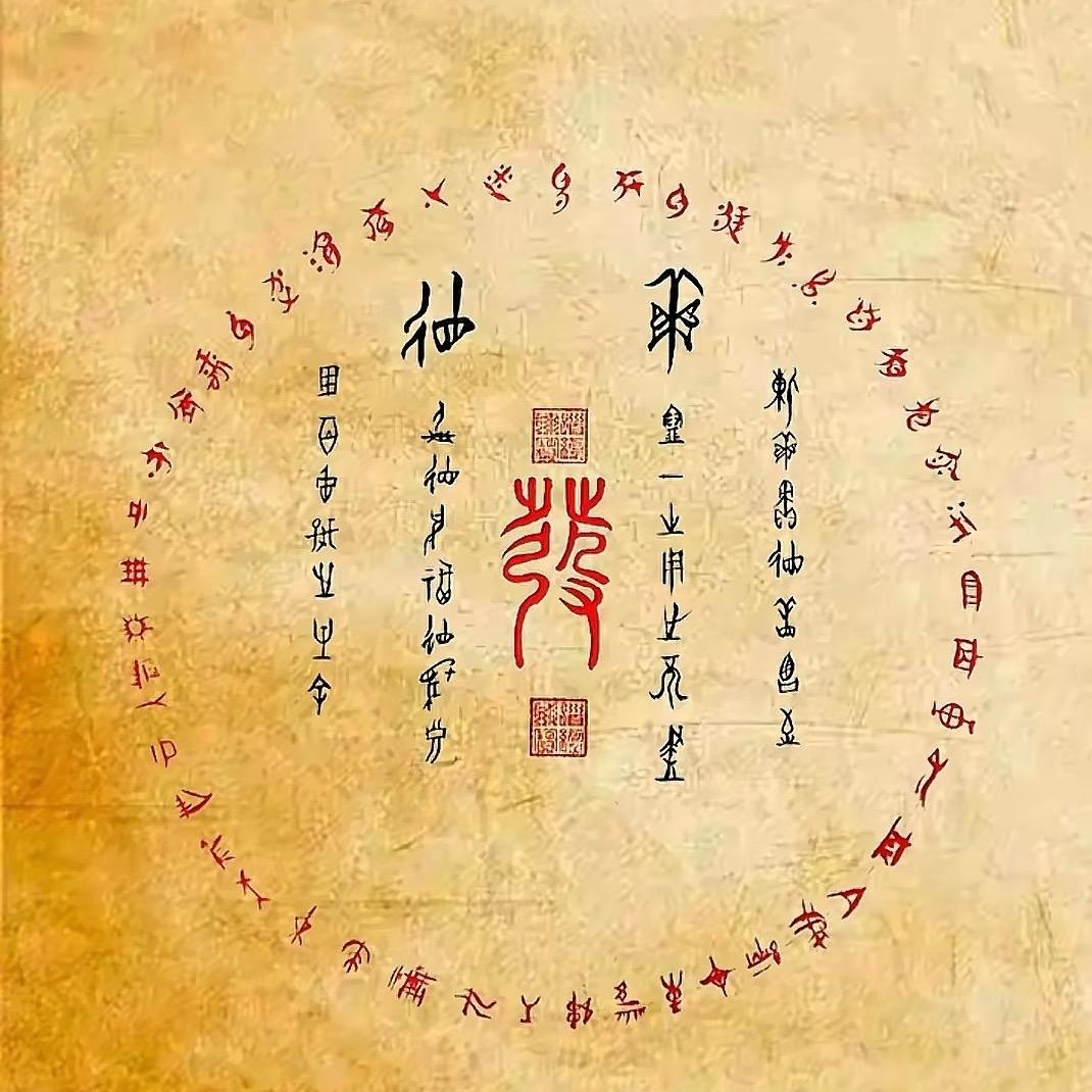 向光而行