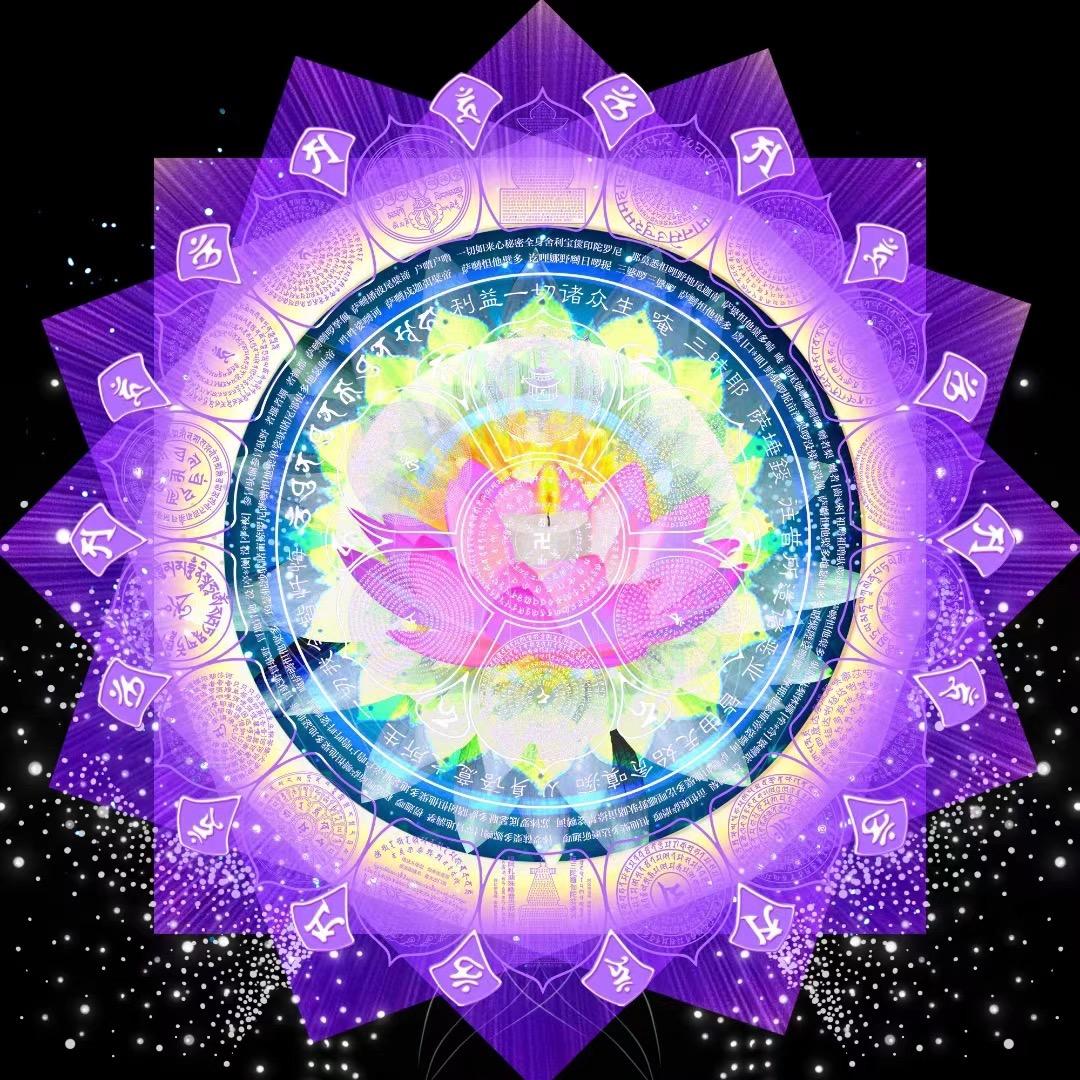 🐯🐯田田圈🌸