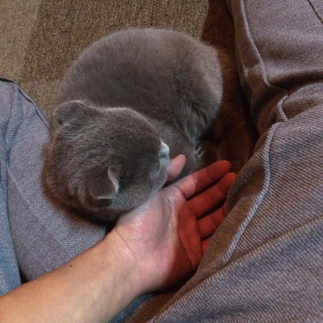 渔