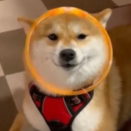 清华Fermion