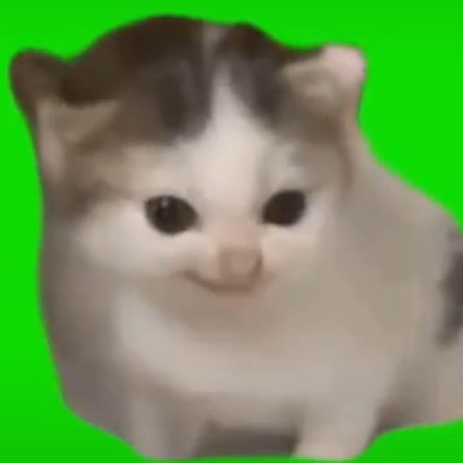 A7小包（猫meme）