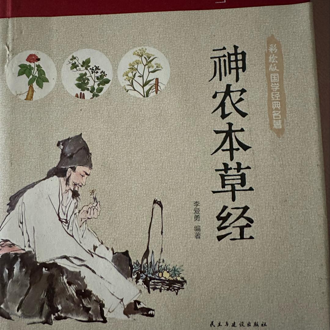 神农炖汤（赶走亚健康）