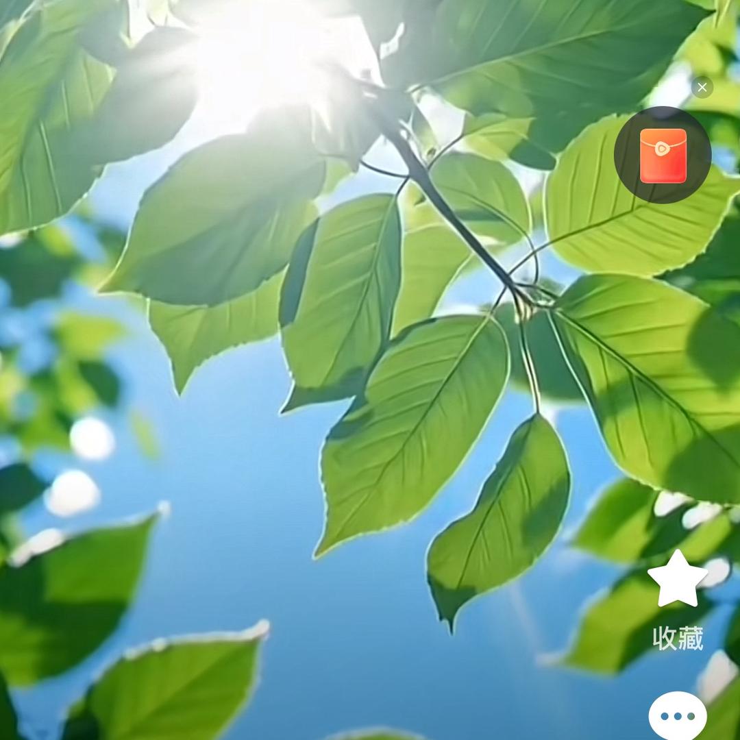 好运满怀