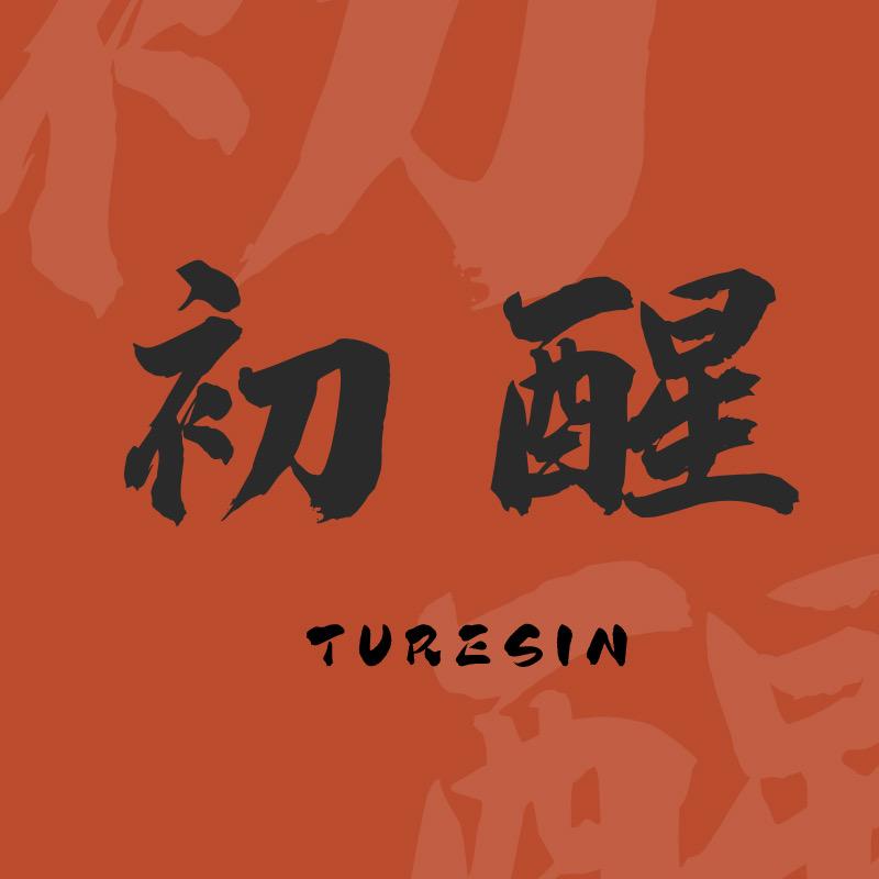 初醒TURESIN