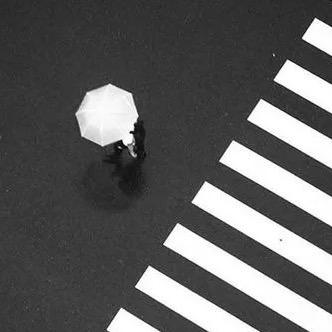 they👁️‍🗨️（减肥版）