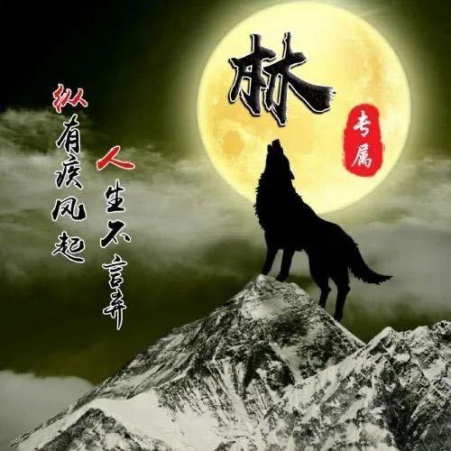 非凡精品服饰工厂直销