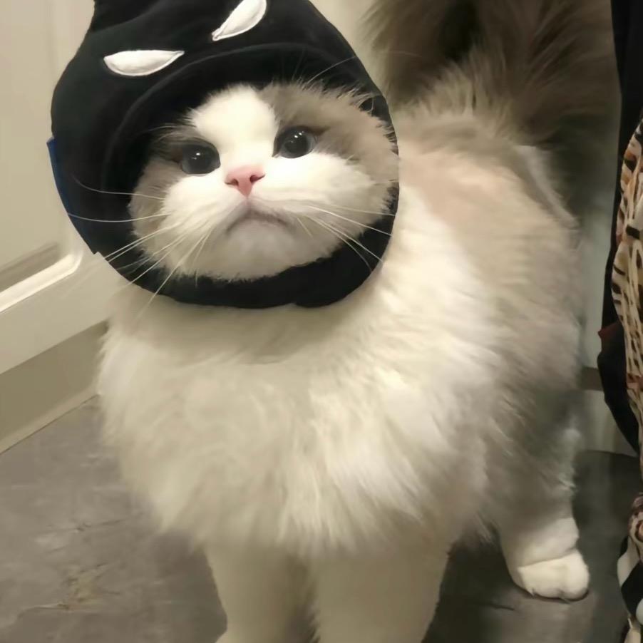 慕兮.