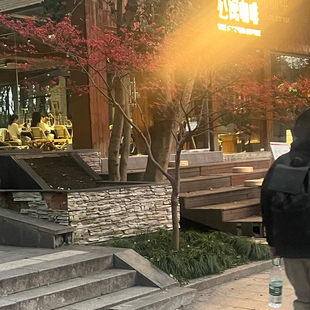 蟹老板🦀成长记