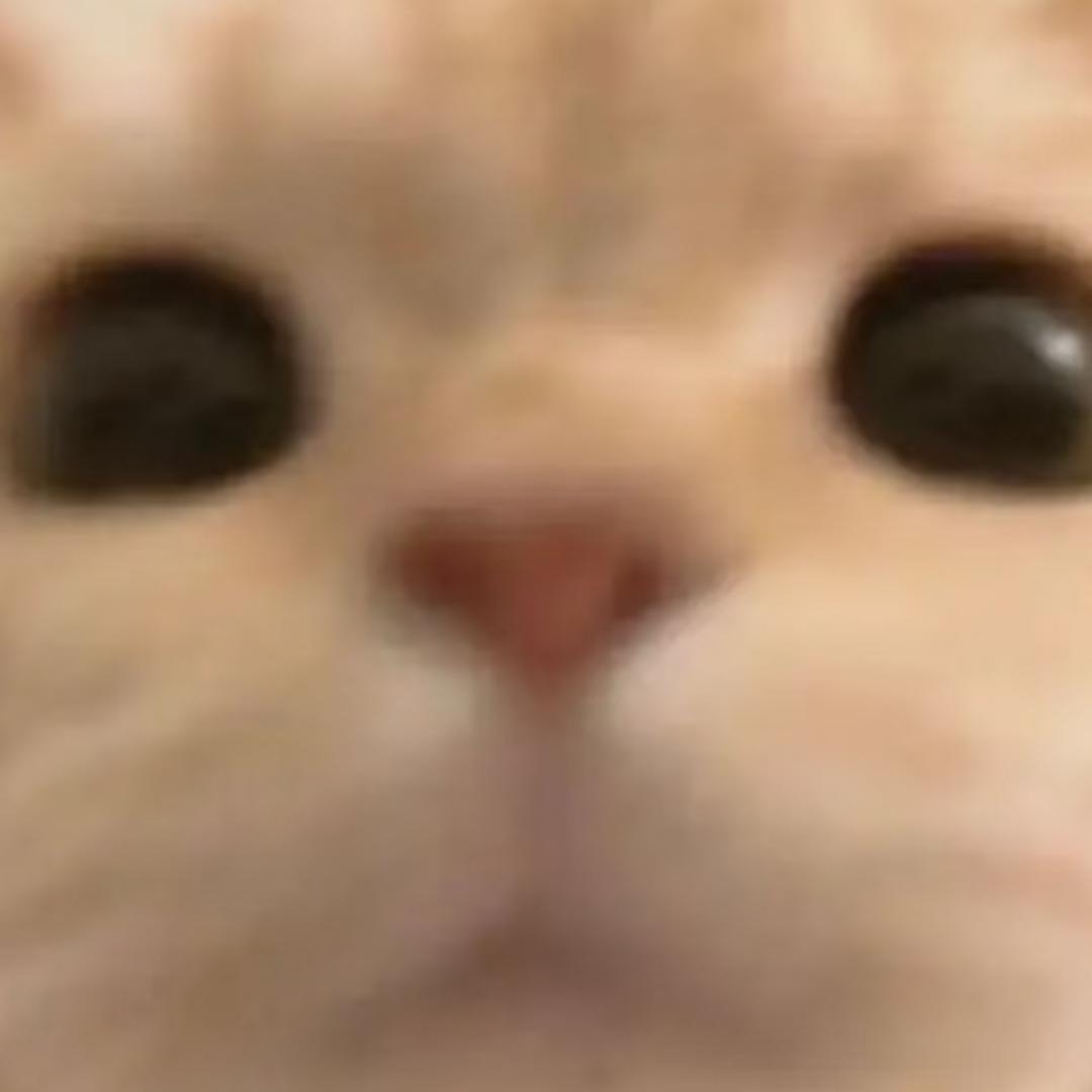 这一页