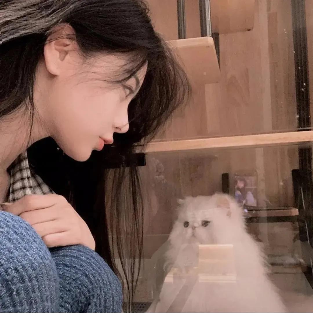 美虹生活