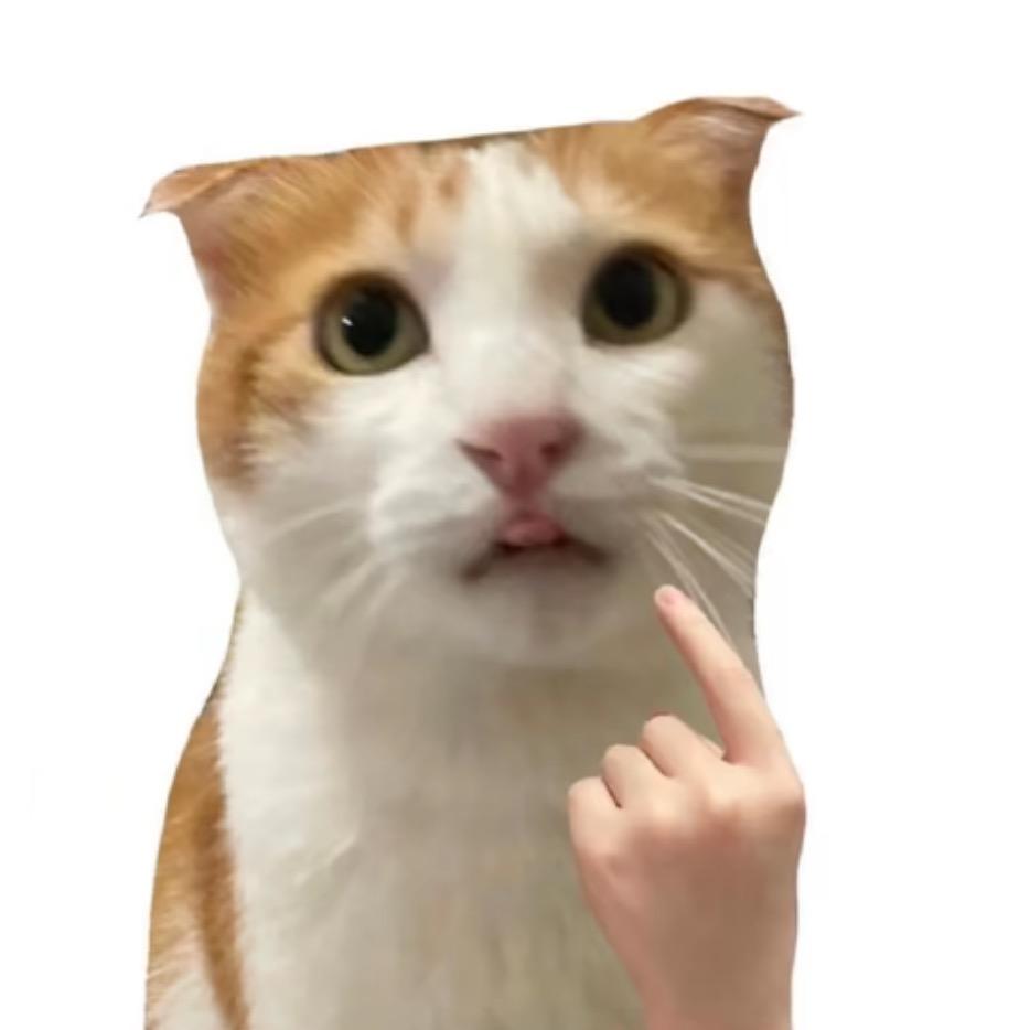纯情小姨妈