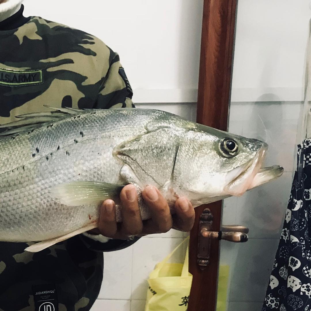 斗门鲈鱼哥🐟