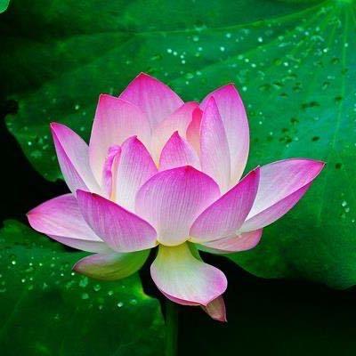 萍水相逢🌹