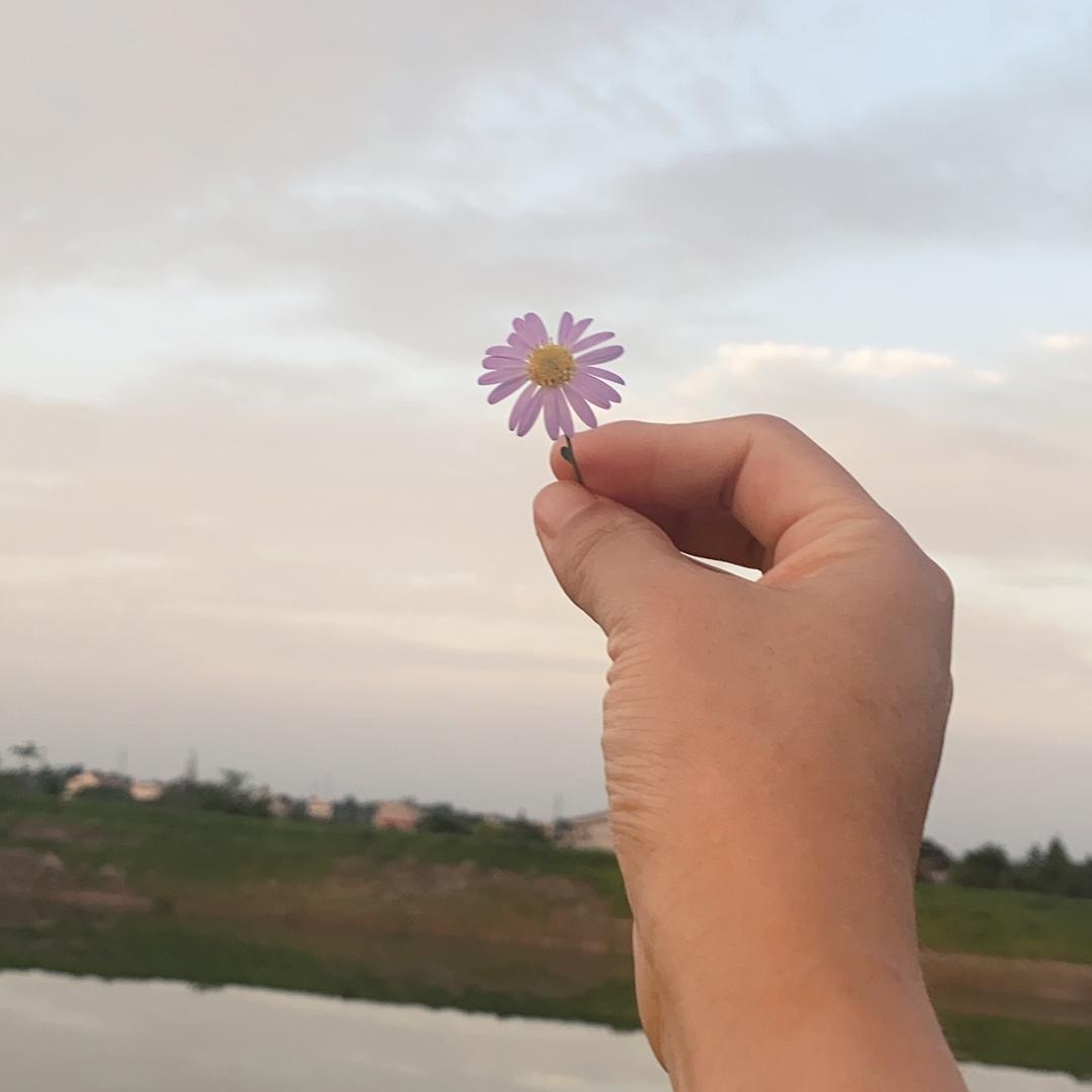 随遇而安❤️