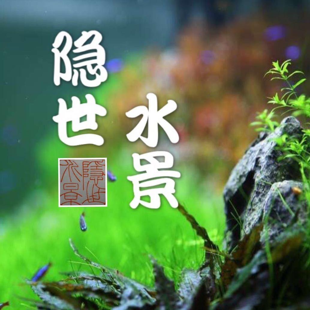 隐世水景-小赵 ╭╯