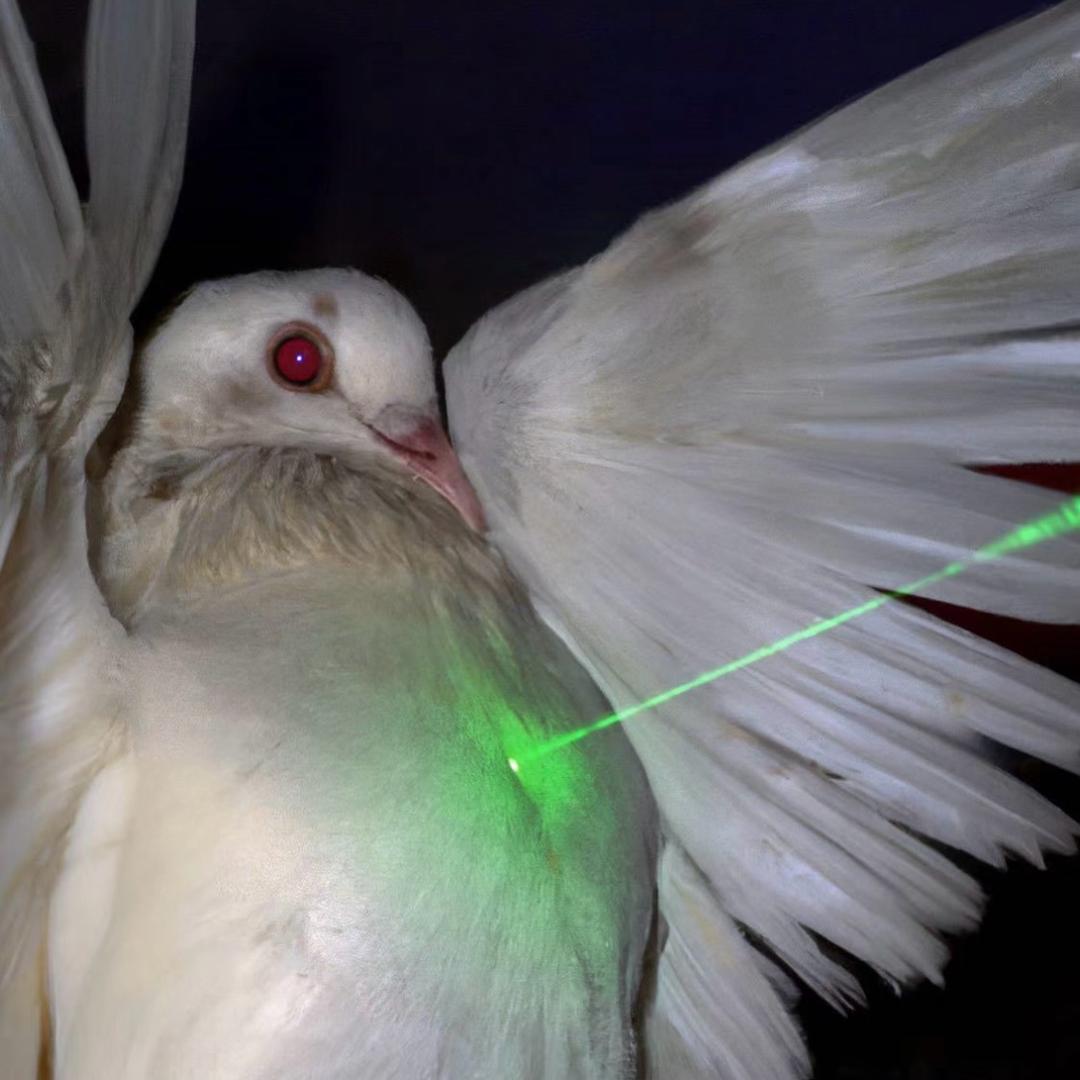 无法找到该用户