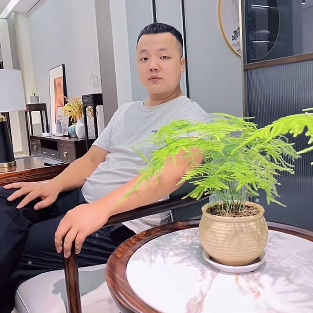 鹏哥说家具
